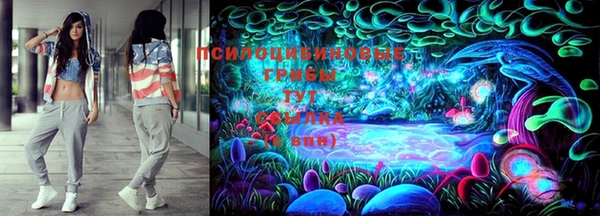 прущая мука Абаза