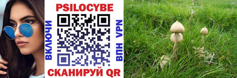 Галлюциногенные грибы Cubensis  где купить   Туапсе 